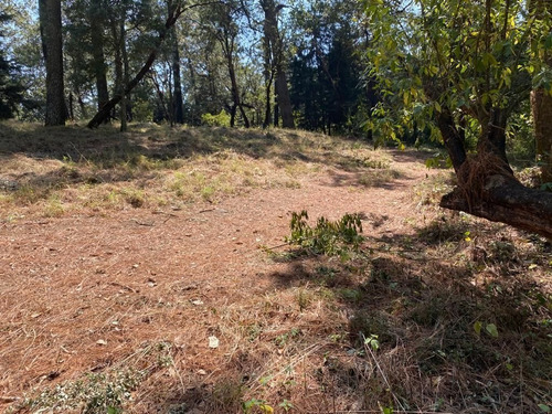 Imagen 5 de 6 de Terreno Plano En Fraccionamiento Monte Rubí Huitzilac, Morel