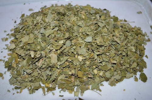 Moringa Primera Calidad X 1 Kg