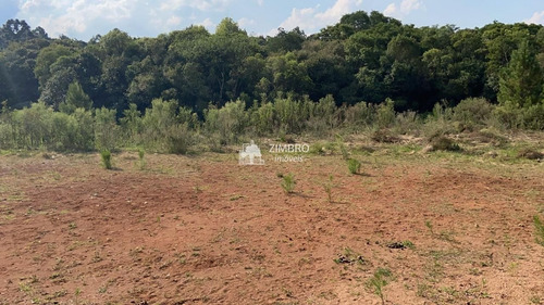 Imagem 2 de 9 de Terreno Com Mil M², Possibilidade De Comprar Dois Lado A Lado - 19581