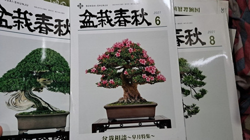 Bonsai-revistas De Colección Únicas 