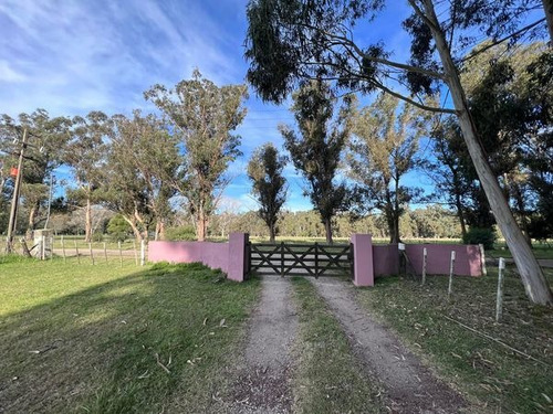 Imagen 12 de 14 de Venta Campo 115 Hectareas Ganadero Con Casco 700 Mts