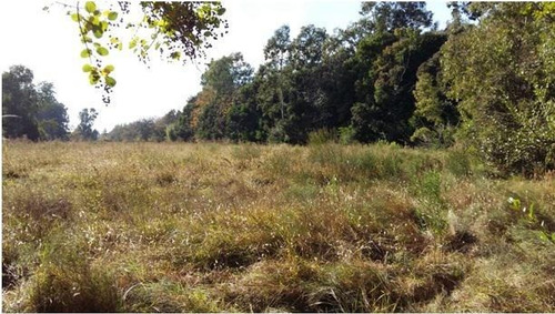 Imagen 2 de 3 de Terreno - Los Cardales