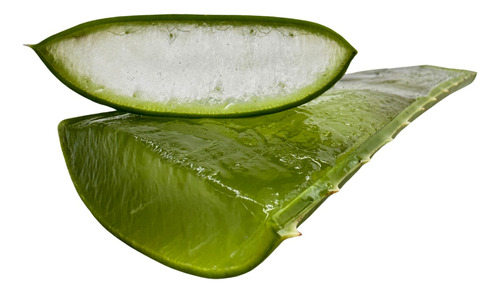 Folha De Babosa (grossa!) Aloe Vera/ Barbadensis Miller 200g