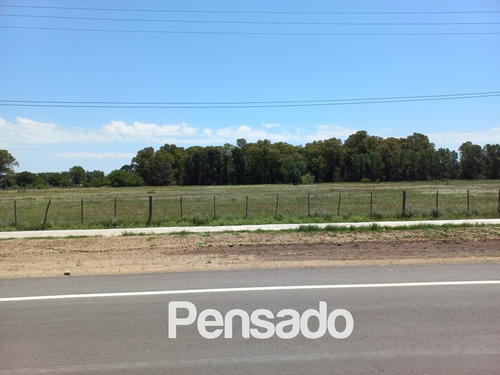Imagen 10 de 18 de En Venta 1 Hectarea Con Servicios