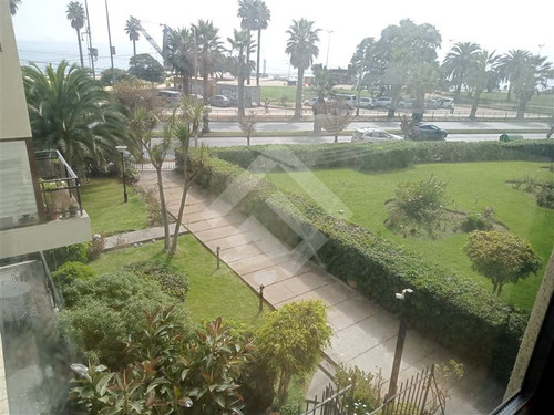 Departamento En Arriendo De 3 Dorm. En Viña Del Mar