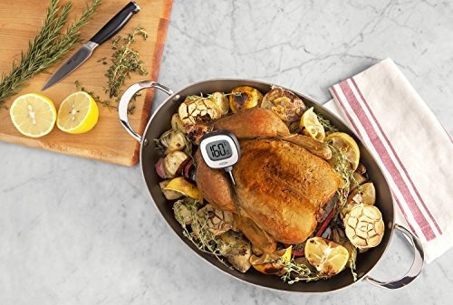 Termometro De Lectura Instantanea Digital De Precision Oxo G