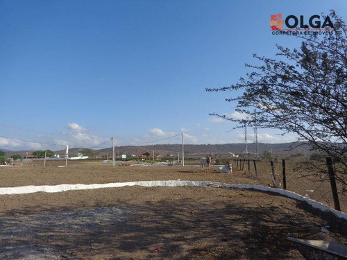 Terreno À Venda, 532 M² Por R$ 85.000 - Gravatá/pe - Te0198