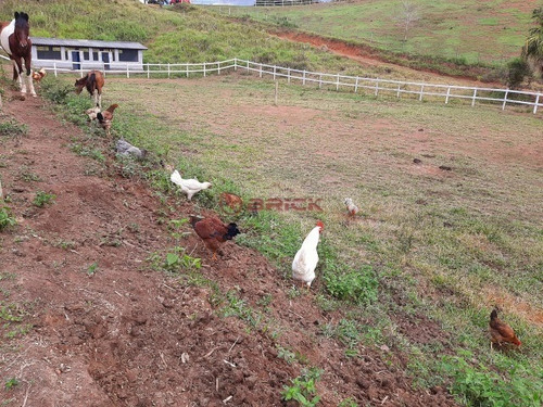 Imagem 25 de 30 de Fazenda Com 500 Mil M² De Área Total, Xotó/vieira. Teresópolis- Rj. - Fa00025 - 69449681