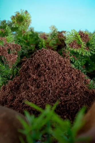 Germiturba Sustrato De Coco (100% Orgánico) 100l