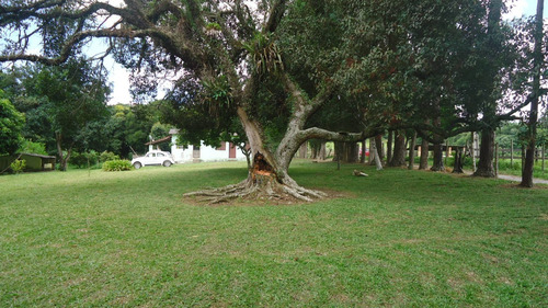 Chácara 44.000m2 Completa