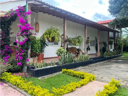 Venta Finca Montenegro Via Quimbaya - 8.5 Cuadras