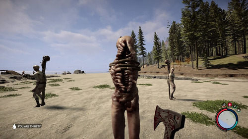 Sons Of The Forest | Pc | Steam | Digital