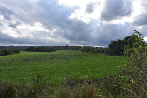 Terrenos En Venta Camino A Santa Catalina, Provincia De Córdoba