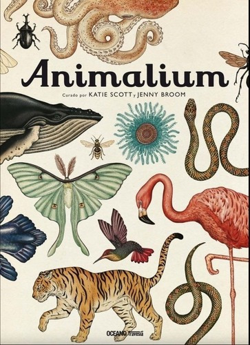 Animalium - Katie Scott