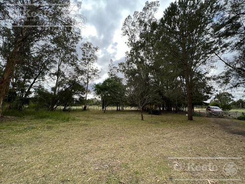 Imagen 13 de 17 de 5 Has En Veronica - Chacra En Venta Con Importante Arboleda