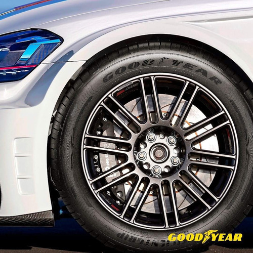 Neumático Goodyear Performance 195/65R15 91 H