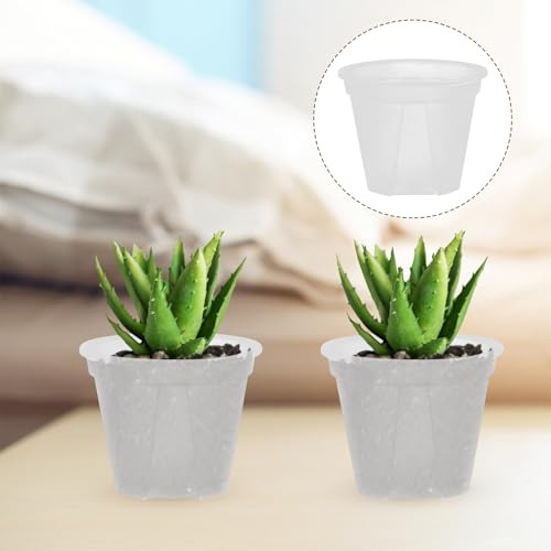 Macetas Transparentes Redondas 15 Cm Para Bebé Y Suculentas