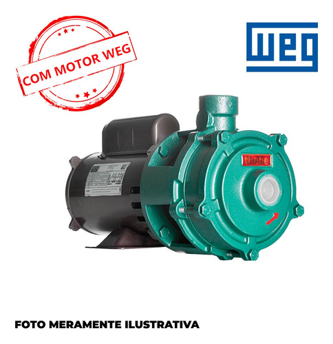 Bomba Thebe / Weg Monofásica P-11/2 Noryl 1 Cv 127/220v
