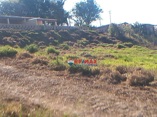 Imagem 9 de 23 de Chácara Com 4 Dormitórios À Venda, 7000 M² Por R$ 600.000,00 - Sousas - Campinas/sp - Ch0128