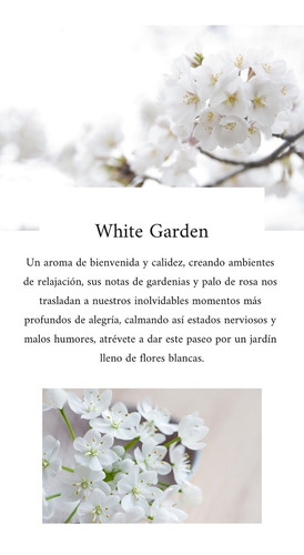 Imagen 5 de 6 de Vela Cera Soja Aromática Decorativa Regalo