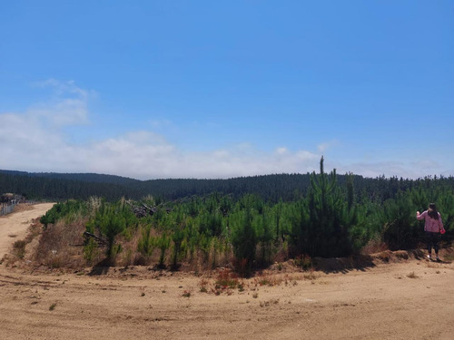 Oportunidad Venta De Parcela Pichilemu Playa Monaco