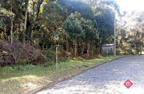 Imagem 3 de 3 de - V-3016