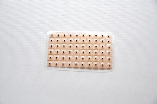 Planchas De Semillas De Vaccaria (600 Unidades)
