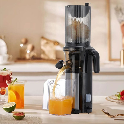 Espremedor De Frutas Sucos Juicer Alimentos Extrator 250w Cor Preto