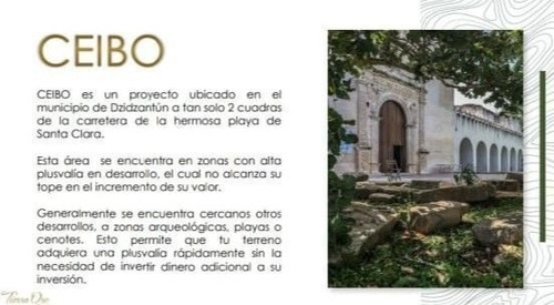 Imagen 2 de 8 de Se Venden Lotes Ceibo - Dzidzantún