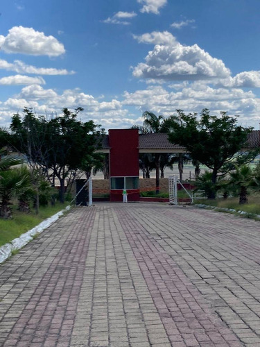 Imagen 10 de 12 de Terreno Habitacional En Venta En Campestre Lomas Del Sur, Romita, Guanajuato