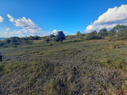 Imagem 7 de 27 de Fazenda Com 377 Tarefas Em Morro Do Chapéu - Bahia - Afd015 - 70334233