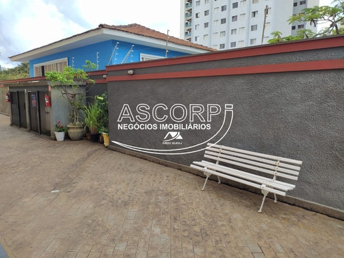 Imagem 30 de 30 de Apartamento No Edifício Trianon.(código Ap00704) - Ap00704 - 70835132