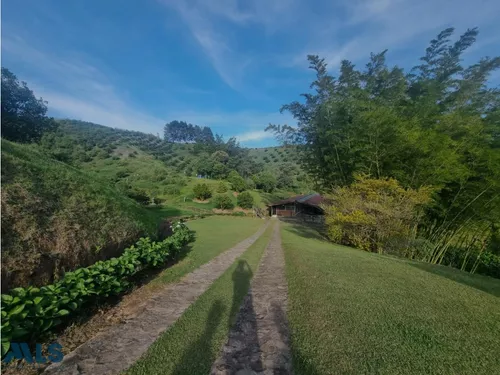 Grandiosa Finca Con Cultivos De Aguacate Hass(mls#247937)