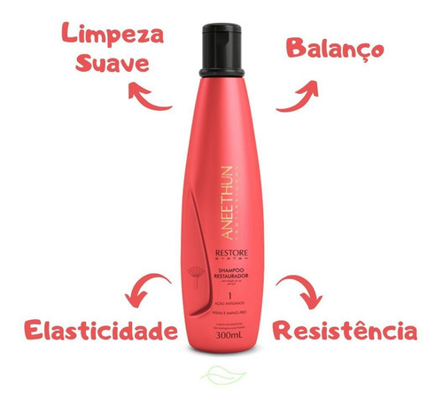 Restauração Aneethun Shampoo + Máscara Restore System