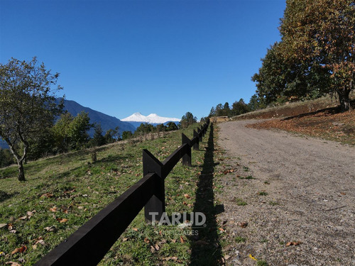 Parcela 5000 M2 Lago Riñihue Ribera Sur. Región Los Ríos