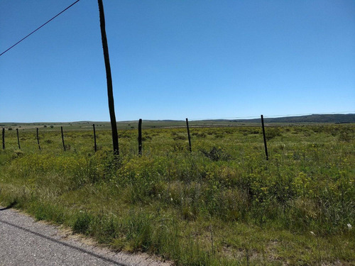 Venta O Alquiler Terrenos Hectareas