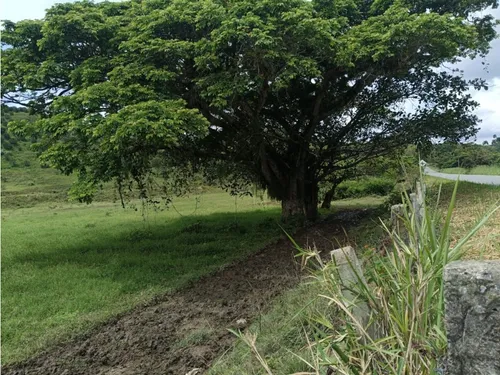 Se Vende Finca Vía Barragan - Rio Verde