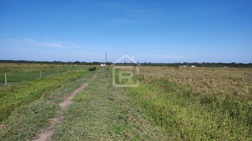 Imagem 16 de 30 de Fazenda Localizada Em Iguape- Sp Com 280 Alqueires - 262 - 71153412