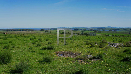 Imagen 2 de 6 de Campo En Venta Laguna Del Sauce 5 Hectáreas