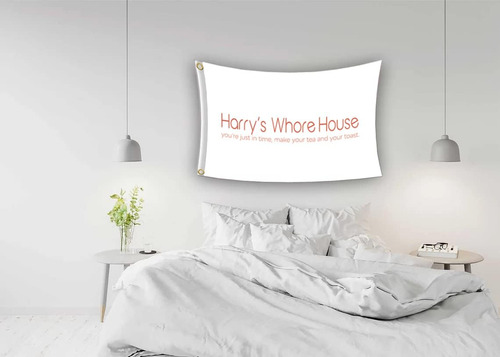 Harry Styles Harrys Whore House Flag Divertida Pancarta De 3