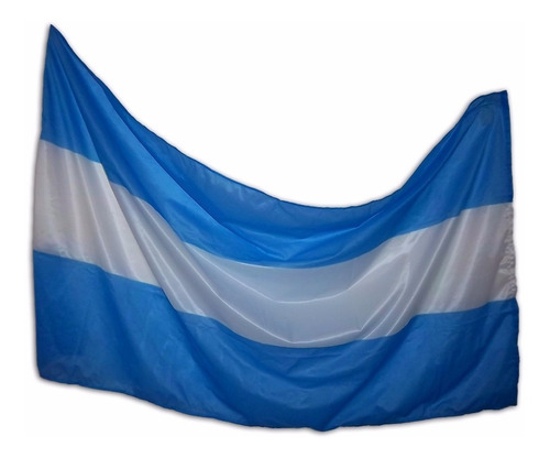 Bandera Argentina Tela Poliester 40x70cm Sin Sol (104087)