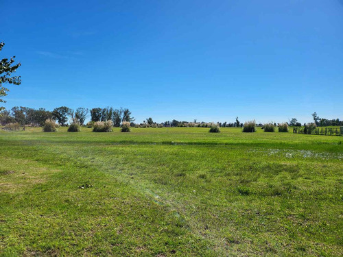 Lote En Venta En San Eliseo Fondo Al Golf