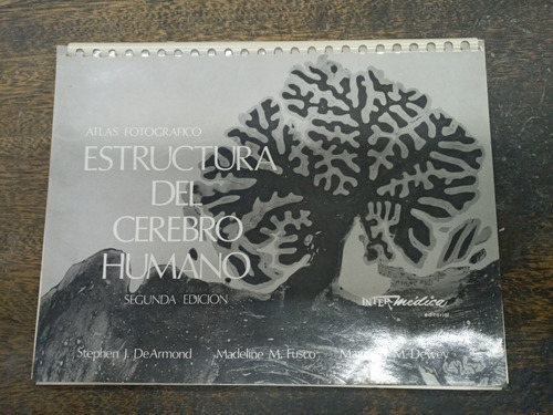 Estructura Del Cerebro Humano * Atlas Fotografico *