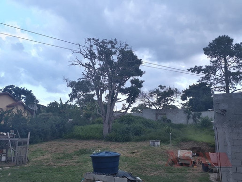 Imagem 9 de 15 de Terreno Área Em Rio Acima - Biritiba-mirim - 3170