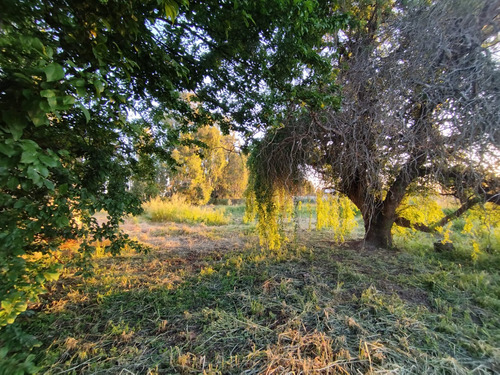 En Venta Terreno Fértil Para Producción Con Casa Construida