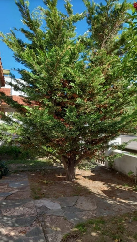 Hermosa Casa En Venta En Santa Teresita (no Se Alquila) Apto Credito
