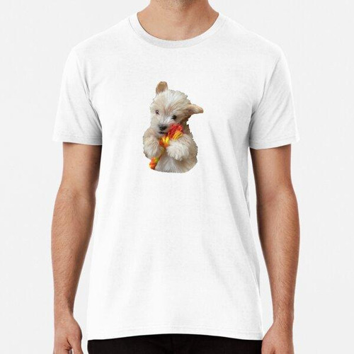 Remera Lindo Cachorro Maltipoo Algodon Premium