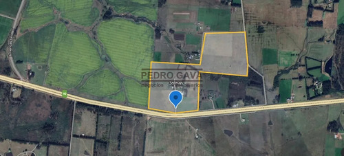 Chacra En Alquiler Anual 36 Hectáreas Sobre Ruta Interbalnearia, A Minutos De Piriápolis