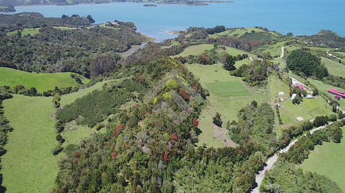 Sitio En Venta En Ancud Sector Faro Corona
