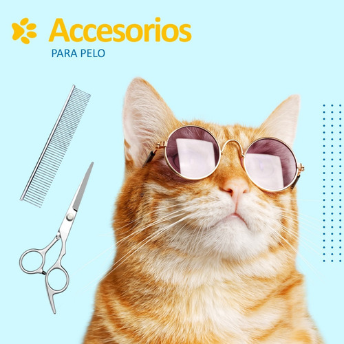 Imagen 5 de 10 de Maquina Corta Pelo Mascotas Perro Gato Kit Completo - Petpal